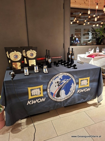 WMAC World Gala Dinner Feier Fest Bregenz Sängerin Veranstaltung musikalische Umrahmung Eröffnungsfeier Sektempfang Musik Musikerin Vorarlberg Bodensee Bodenseeregion