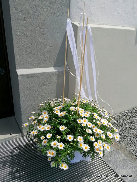 Sängerin Hochzeitssängerin Hochzeit Trauung Bildstein Vorarlberg Kirche