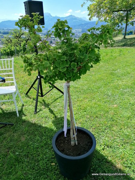 Freie Trauung Schweiz Musik Solomusikerin Sängerin Hochzeitssängerin Hochzeit Trauung Vorarlberg Kirche www.gesangundgitarre.at Gesang Gitarre Yvonne Brugger